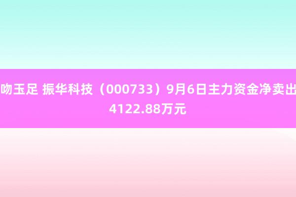 吻玉足 振华科技（000733）9月6日主力资金净卖出4122.88万元