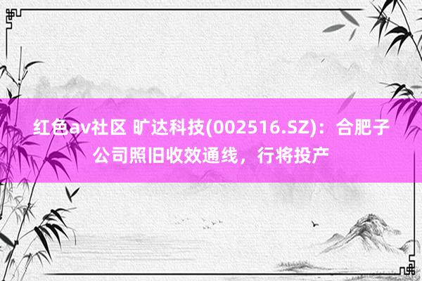 红色av社区 旷达科技(002516.SZ)：合肥子公司照旧收效通线，行将投产
