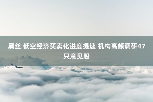 黑丝 低空经济买卖化进度提速 机构高频调研47只意见股