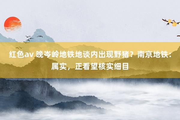 红色av 晚岑岭地铁地谈内出现野猪？南京地铁：属实，正看望核实细目