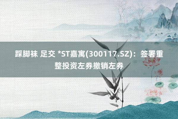 踩脚袜 足交 *ST嘉寓(300117.SZ)：签署重整投资左券撤销左券