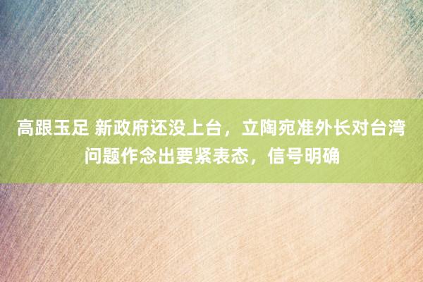 高跟玉足 新政府还没上台，立陶宛准外长对台湾问题作念出要紧表态，信号明确