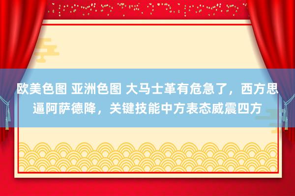 欧美色图 亚洲色图 大马士革有危急了，西方思逼阿萨德降，关键技能中方表态威震四方