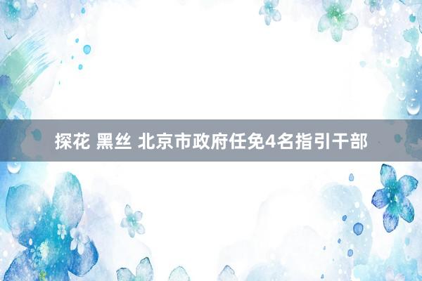 探花 黑丝 北京市政府任免4名指引干部