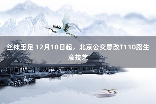 丝袜玉足 12月10日起，北京公交篡改T110路生意技艺