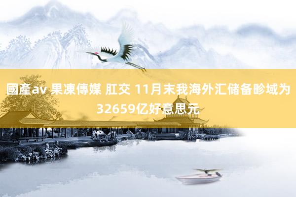 國產av 果凍傳媒 肛交 11月末我海外汇储备畛域为32659亿好意思元