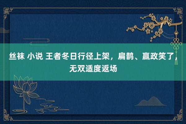 丝袜 小说 王者冬日行径上架，扁鹊、嬴政笑了，无双适度返场