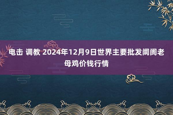 电击 调教 2024年12月9日世界主要批发阛阓老母鸡价钱行情