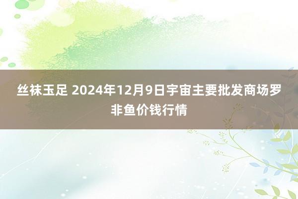 丝袜玉足 2024年12月9日宇宙主要批发商场罗非鱼价钱行情