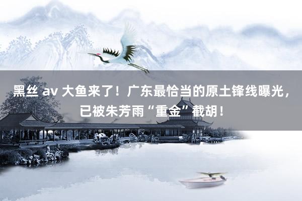 黑丝 av 大鱼来了！广东最恰当的原土锋线曝光，已被朱芳雨“重金”截胡！