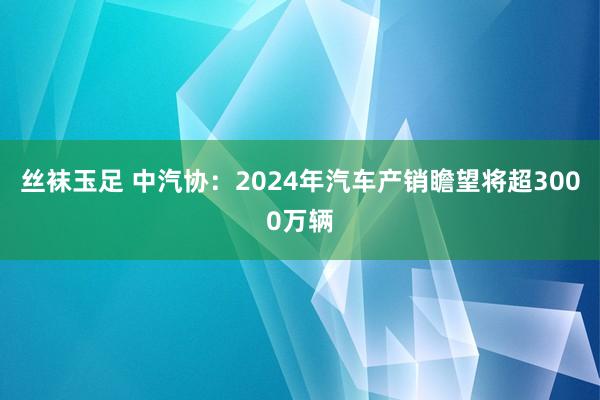 丝袜玉足 中汽协:2024年汽车产销瞻望将超3000万辆