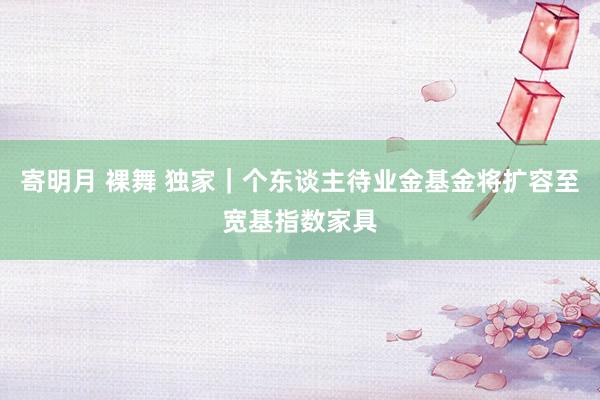 寄明月 裸舞 独家｜个东谈主待业金基金将扩容至宽基指数家具