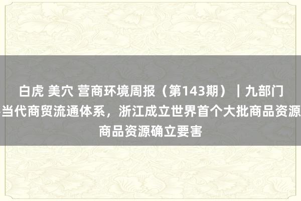 白虎 美穴 营商环境周报（第143期）｜九部门加力完善当代商贸流通体系，浙江成立世界首个大批商品资源确立要害