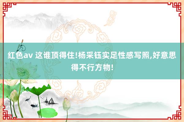 红色av 这谁顶得住!杨采钰实足性感写照，好意思得不行方物!