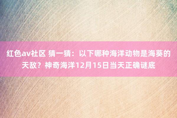 红色av社区 猜一猜：以下哪种海洋动物是海葵的天敌？神奇海洋12月15日当天正确谜底