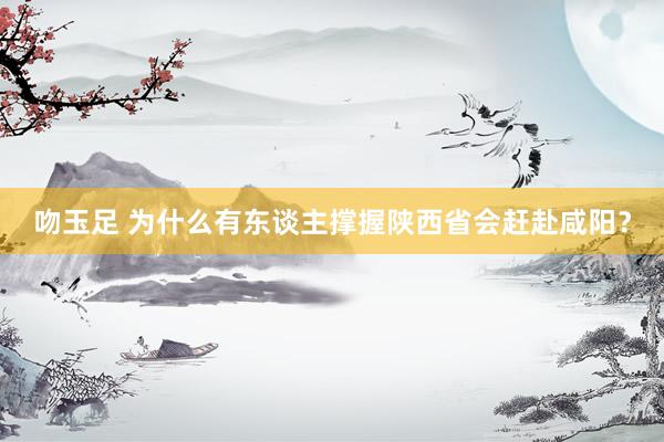 吻玉足 为什么有东谈主撑握陕西省会赶赴咸阳？