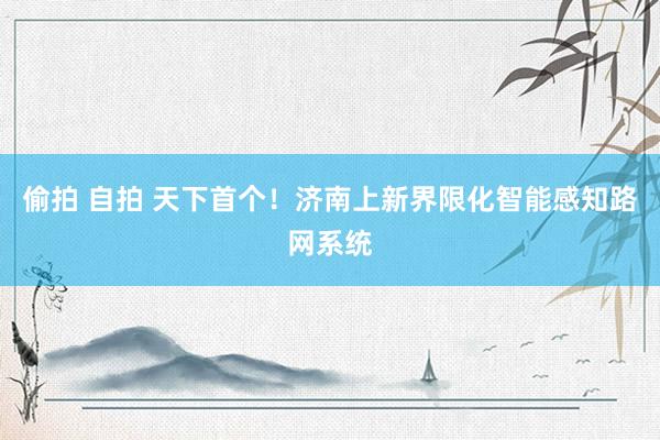 偷拍 自拍 天下首个！济南上新界限化智能感知路网系统