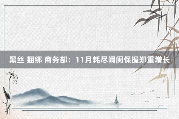 黑丝 捆绑 商务部：11月耗尽阛阓保握郑重增长