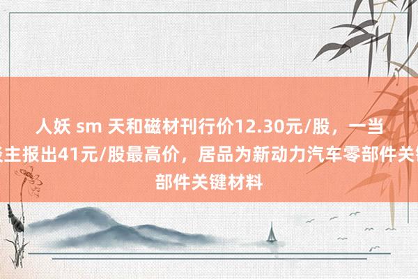 人妖 sm 天和磁材刊行价12.30元/股，一当然东谈主报出41元/股最高价，居品为新动力汽车零部件关键材料