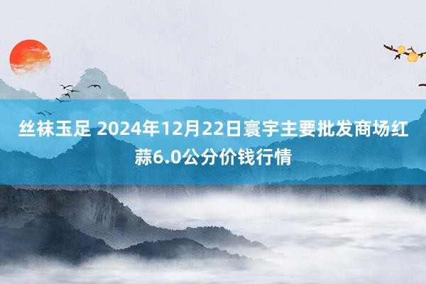 丝袜玉足 2024年12月22日寰宇主要批发商场红蒜6.0公分价钱行情