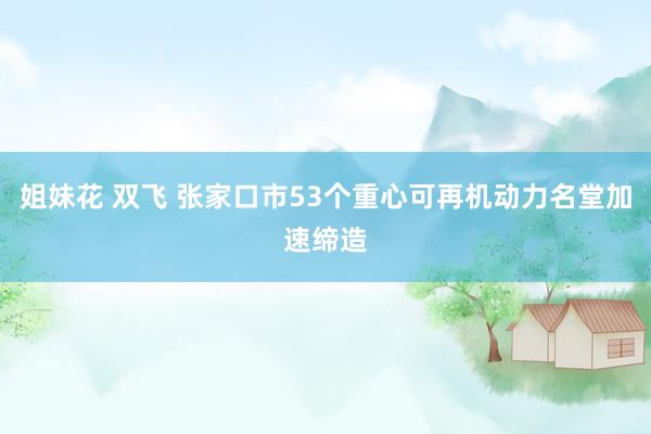 姐妹花 双飞 张家口市53个重心可再机动力名堂加速缔造