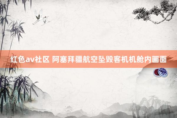 红色av社区 阿塞拜疆航空坠毁客机机舱内画面