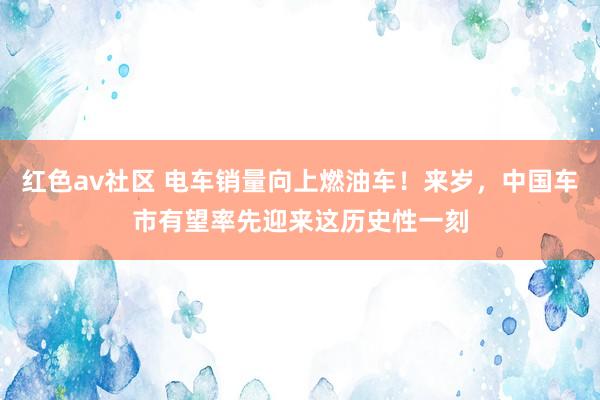 红色av社区 电车销量向上燃油车！来岁，中国车市有望率先迎来这历史性一刻