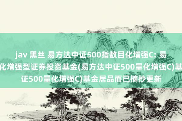 jav 黑丝 易方达中证500指数目化增强C: 易方达中证500指数目化增强型证券投资基金(易方达中证500量化增强C)基金居品而已摘抄更新