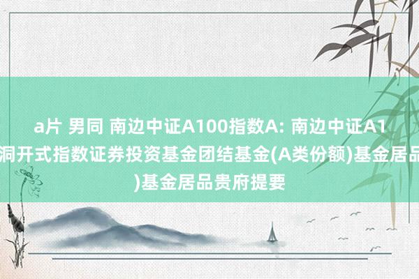 a片 男同 南边中证A100指数A: 南边中证A100交游型洞开式指数证券投资基金团结基金(A类份额)基金居品贵府提要