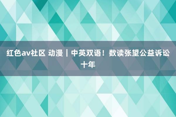 红色av社区 动漫｜中英双语！数读张望公益诉讼十年