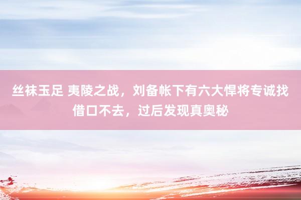 丝袜玉足 夷陵之战，刘备帐下有六大悍将专诚找借口不去，过后发现真奥秘