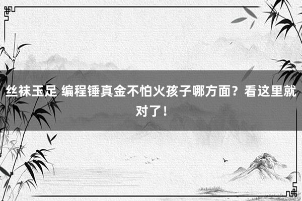 丝袜玉足 编程锤真金不怕火孩子哪方面？看这里就对了！