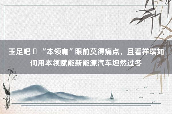 玉足吧 ​“本领咖”眼前莫得痛点，且看祥瑞如何用本领赋能新能源汽车坦然过冬