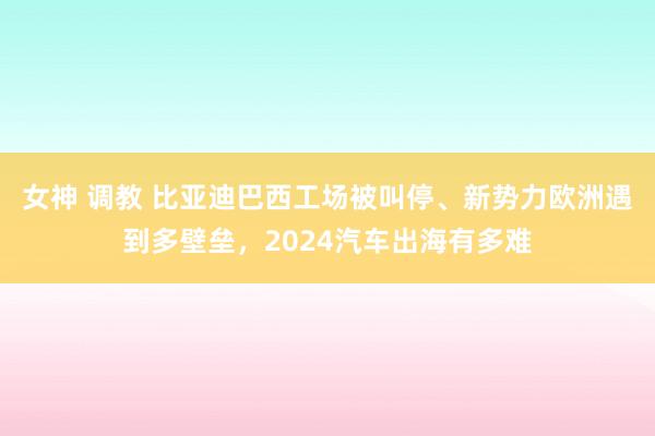 女神 调教 比亚迪巴西工场被叫停、新势力欧洲遇到多壁垒，2024汽车出海有多难