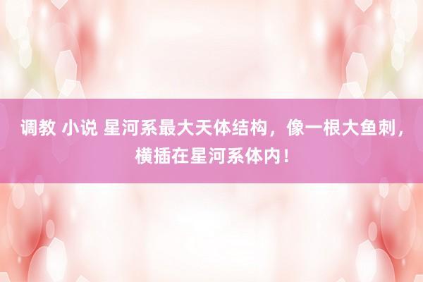 调教 小说 星河系最大天体结构，像一根大鱼刺，横插在星河系体内！