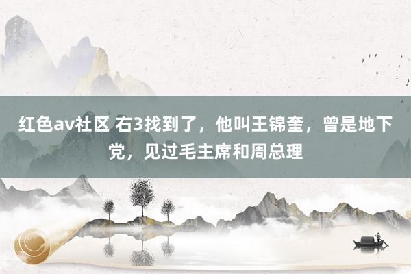 红色av社区 右3找到了，他叫王锦奎，曾是地下党，见过毛主席和周总理