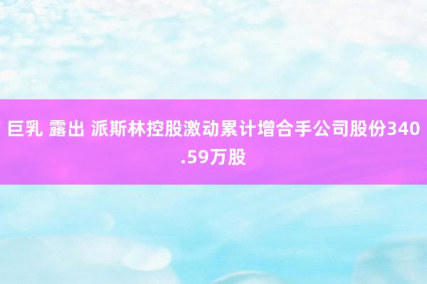 巨乳 露出 派斯林控股激动累计增合手公司股份340.59万股