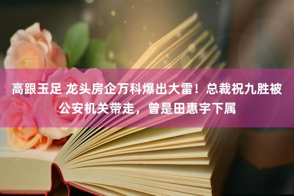 高跟玉足 龙头房企万科爆出大雷！总裁祝九胜被公安机关带走，曾是田惠宇下属