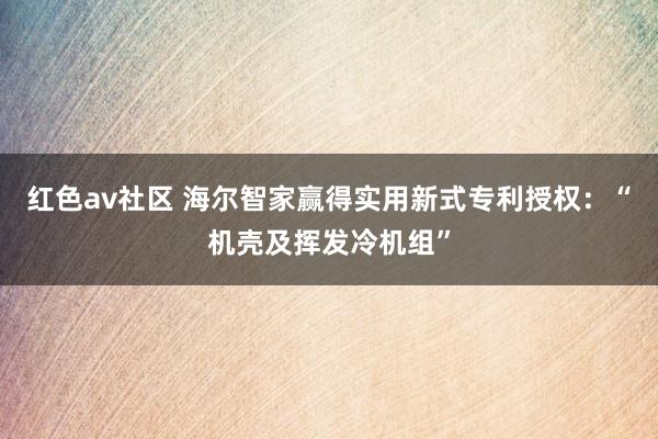红色av社区 海尔智家赢得实用新式专利授权：“机壳及挥发冷机组”
