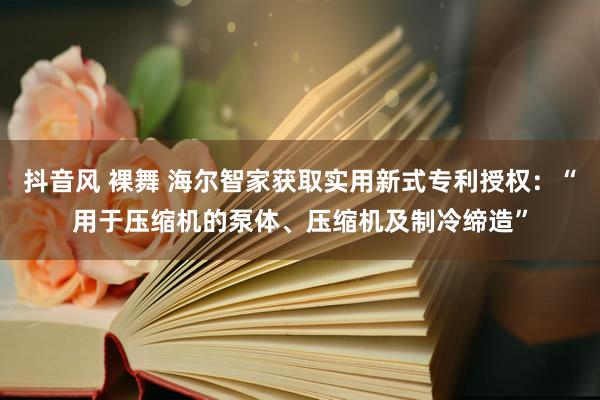抖音风 裸舞 海尔智家获取实用新式专利授权：“用于压缩机的泵体、压缩机及制冷缔造”