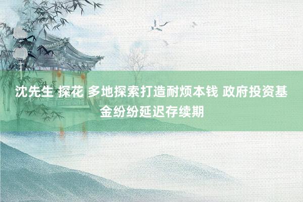 沈先生 探花 多地探索打造耐烦本钱 政府投资基金纷纷延迟存续期