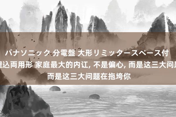 パナソニック 分電盤 大形リミッタースペース付 露出・半埋込両用形 家庭最大的内讧， 不是偏心， 而是这三大问题在拖垮你