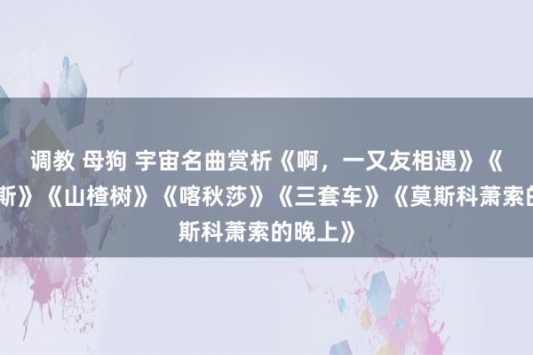 调教 母狗 宇宙名曲赏析《啊，一又友相遇》《卖花密斯》《山楂树》《喀秋莎》《三套车》《莫斯科萧索的晚上》