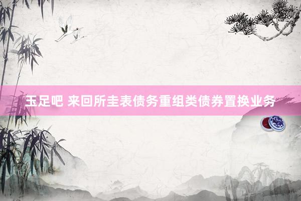 玉足吧 来回所圭表债务重组类债券置换业务