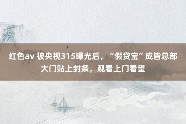 红色av 被央视315曝光后，“假贷宝”成皆总部大门贴上封条，观看上门看望