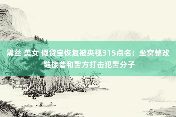 黑丝 美女 假贷宝恢复被央视315点名：坐窝整改 链接谐和警方打击犯警分子