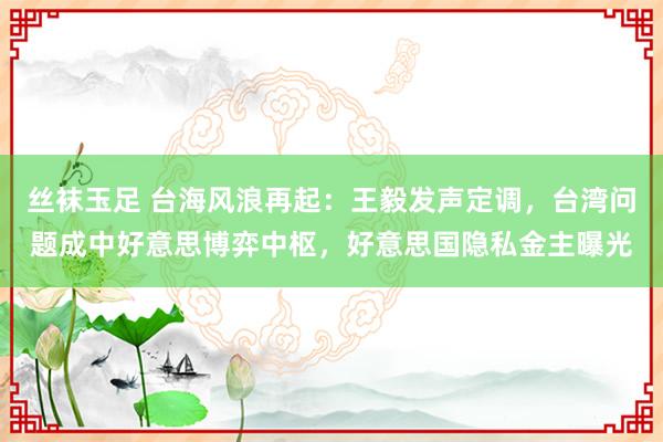 丝袜玉足 台海风浪再起：王毅发声定调，台湾问题成中好意思博弈中枢，好意思国隐私金主曝光