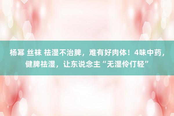 杨幂 丝袜 祛湿不治脾，难有好肉体！4味中药，健脾祛湿，让东说念主“无湿伶仃轻”