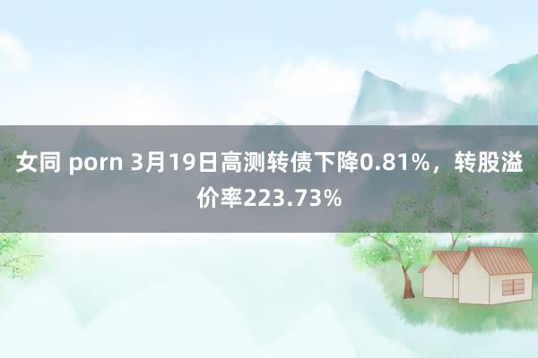 女同 porn 3月19日高测转债下降0.81%，转股溢价率223.73%