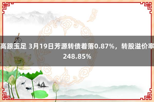 高跟玉足 3月19日芳源转债着落0.87%，转股溢价率248.85%